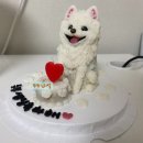댕파티셰 | 인천강아지케이크 검단 아라역 근처 댕파티셰