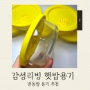 감성리빙 냉동밥용기 햇밥용기 사용 후기
