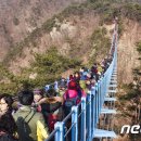 칠갑산인력