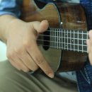 트리플넷