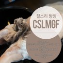 찰스리헤어테크 아산탕정점