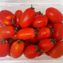 방울토마토 보관 시 ‘이것’ 제거해야 오래 간다고? 한끗 차이로 달라지네요~ 이미지