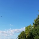 파인파골프클럽 이미지