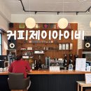 제이써머 | 호주에 온 것 같은 느낌! 마포 공덕 카페 추천 커피제이아이비 필터커피 맛집