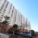 성서평화타운 이미지