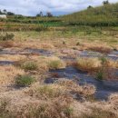 용리농장 이미지