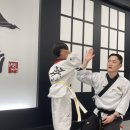 해오름 태권도장 이미지