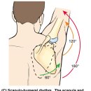 함께선수 & 퍼스널트레이닝 센터 이미지
