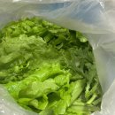 수희농장 이미지