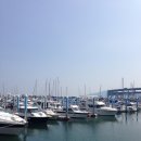 샘물식육점 | 해양수산부 초청 부산 마리나 시설 팸투어 후기