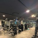 에잇 피트니스 네이버블로그