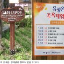 족욕체험장 정기공연 이미지