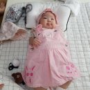 로일
