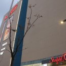 명지스타시티약국 | 명지 스타필드시티 주차장 ATM 층별안내 해드려요