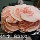 용호160