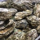 거제도 굴구이 이미지