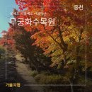 수목원제일풍경채작은도서관 | 홍천 무궁화 수목원 단풍 가을에도 예쁜 홍천 단풍 명소 아이랑 갈만한 곳