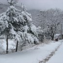 고향 Daum카페