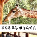 다둥이카서비스 | [희또네 푸꾸옥 여행] 푸꾸옥 빈펄 사파리 후기, 주트램 콤보 티켓 &amp; 기린카페 + 입장권 날짜 실수 해결