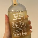 오렌지보틀충북