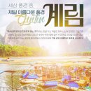 계림31공원 Daum카페