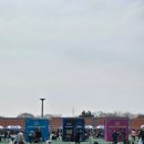 군산 종합운동장 | 2026 군산 새만금마라톤 4월 벚꽃런이었던 10km 완주 후기.