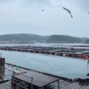 순정좌대 이미지