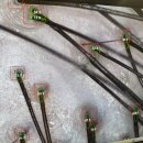 모텐셜의원 이미지