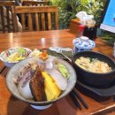 이색어담 | 부천 시청 혼밥 카이센동 맛집 |이색어담| 서이추환영