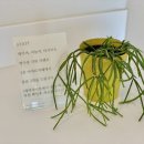 아야트B 이미지