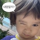 진이포차 - 시흥시 | 서울 강북 ‘방학동 가든포차’ 내돈내산 솔직후기 !