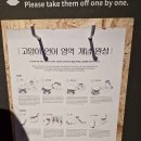 카페 솔빛로 이미지