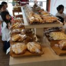 쁘띠방스 이미지