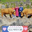 부부한우 이미지