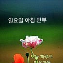 5일장길 이미지