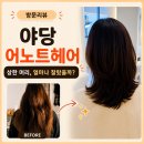 소리천로 | 어노트헤어 후기, 상한 머리 다 자르면 숏컷이라는데 고민됐어요