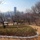문현동 쌈지공원 티스토리
