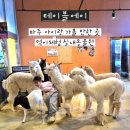 인생네컷 파주야당점 | [테이블에이] 5번째 재방문한 파주 실내동물원 야당 아이랑 갈 만한 곳