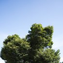 창의리 마을회관 이미지