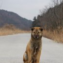 라온 하우스 이미지