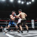 송정 복싱 이미지