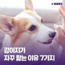 서원동물병원 이미지