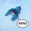 뺑이식당 이미지