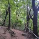 우면산 (대성사 옆) 이미지