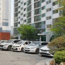 새용인동물약국 이미지