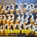 대박집안양인덕원