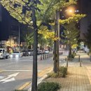 명품한화세탁소 | 일본 1일차 도쿄 여행_(호텔그레이서리/무기토오리부라멘/팡메종/본겐커피/오꼬노미야끼)