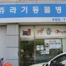 쥬라기동물병원 네이버블로그
