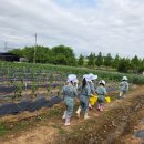 별하농장 이미지