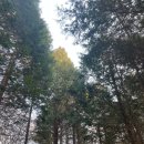 승주cc글램핑장 | 순천 승주CC 글램핑장 참 좋았어요!! 후기